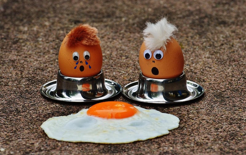 Egg Separator